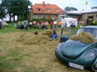 fot.Dominik