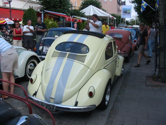 fot.Jurek