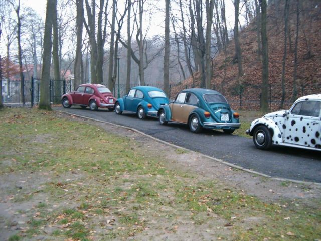 fot.Miniu