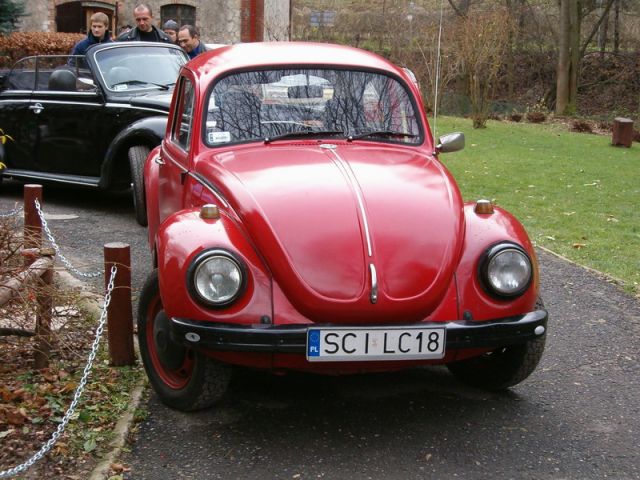 fot.Miniu