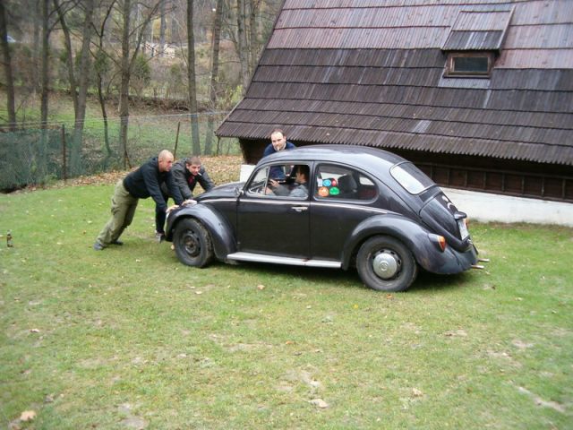 fot.Miniu