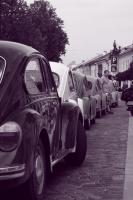 fot.artek (canon) 172.jpg