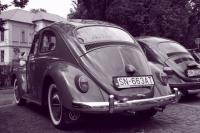 fot.artek (canon) 174.jpg