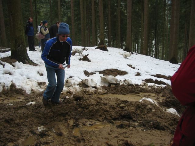 100_0043.jpg