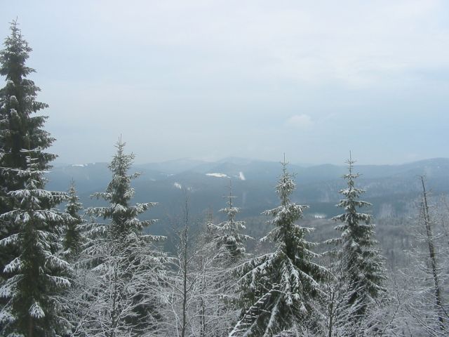 100_0044.jpg
