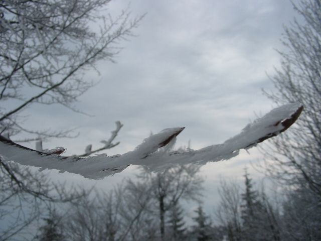 100_0046.jpg