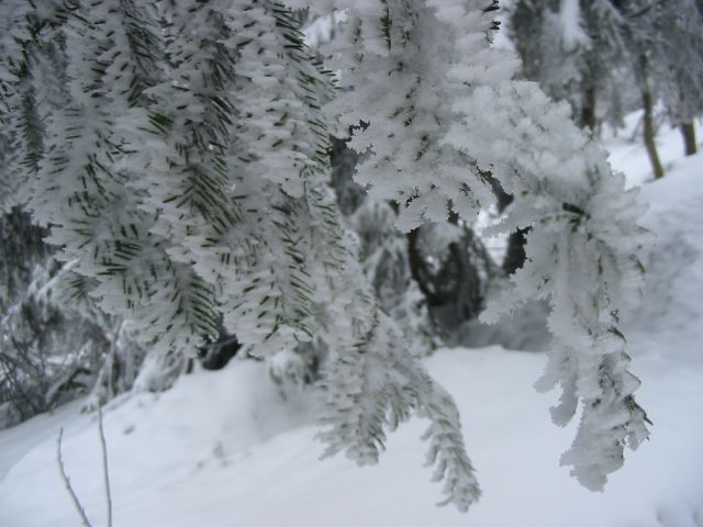 100_0048.jpg