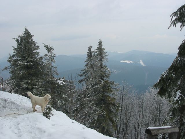 100_0052.jpg