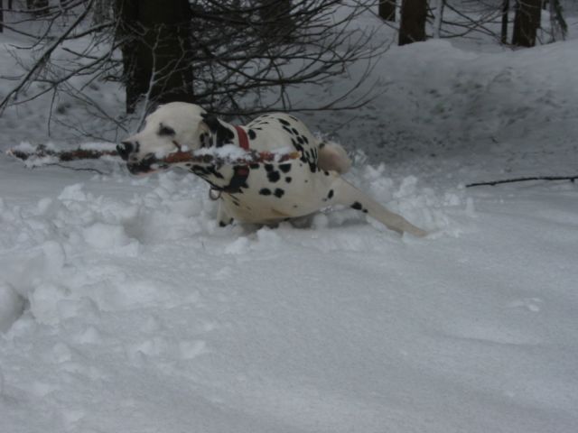 100_0056.jpg