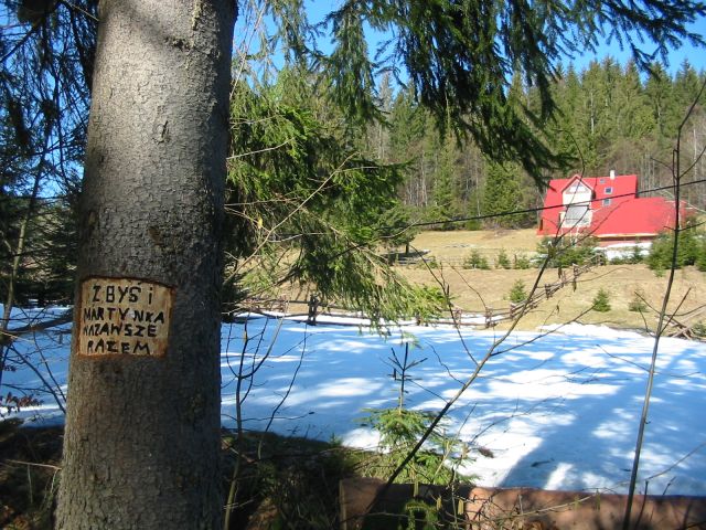 101_0120.jpg