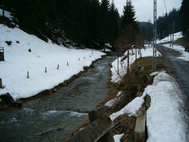 HPIM4588.jpg