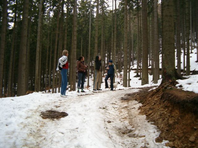 HPIM4598.jpg