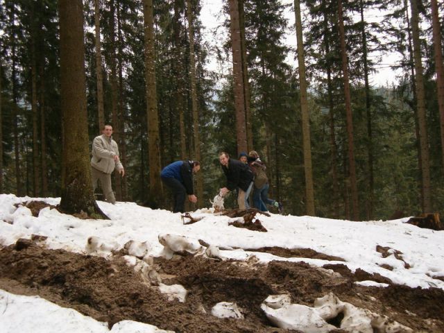 HPIM4605.jpg