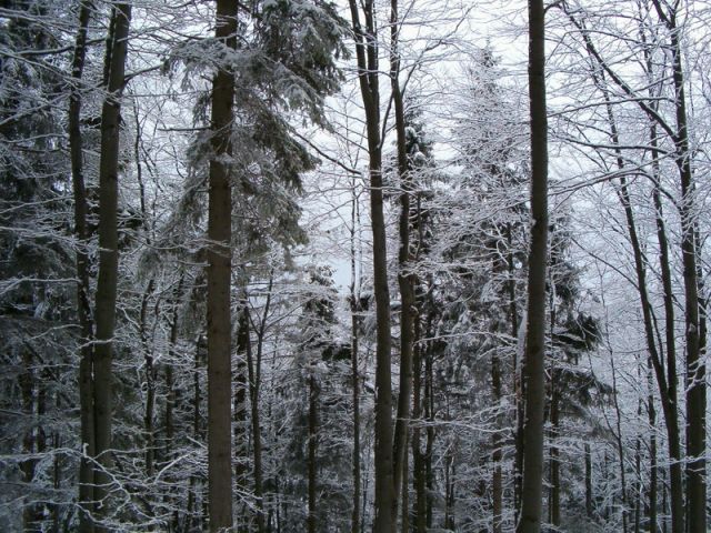 HPIM4628.jpg