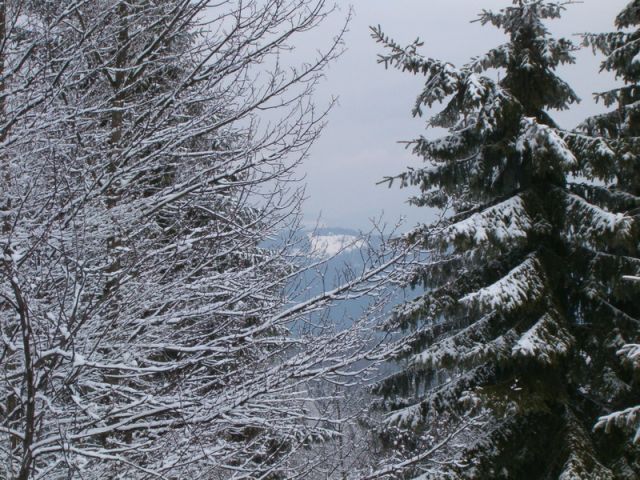 HPIM4632.jpg