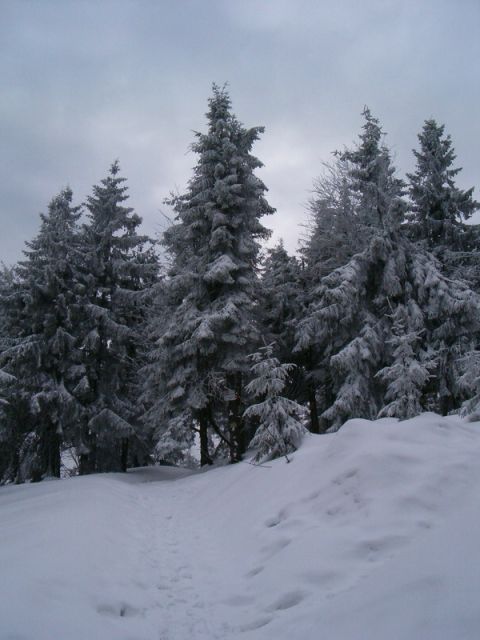 HPIM4640.jpg