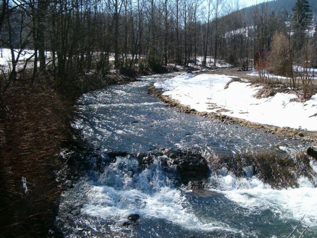 HPIM4684.jpg