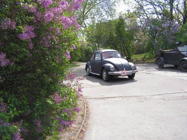 Fot.Wojtek