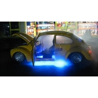 ls-car-audio-beetle-dancing-12.jpg